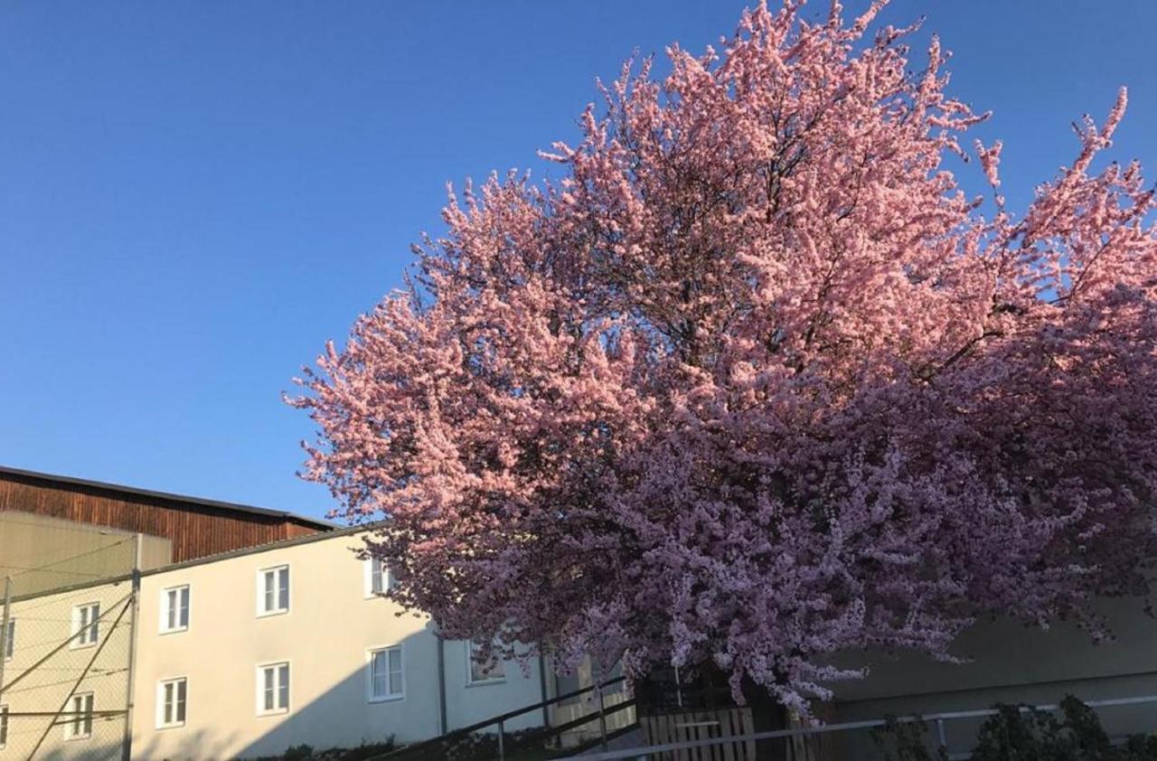 Landpension Gschwantner Lengenfeld ภายนอก รูปภาพ